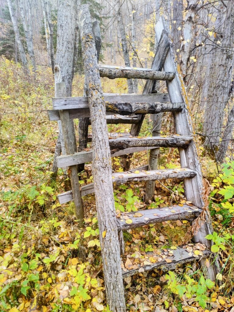 913aeb2c 43d9 4a3a bb65 5f5f160c50fb1 768x1024